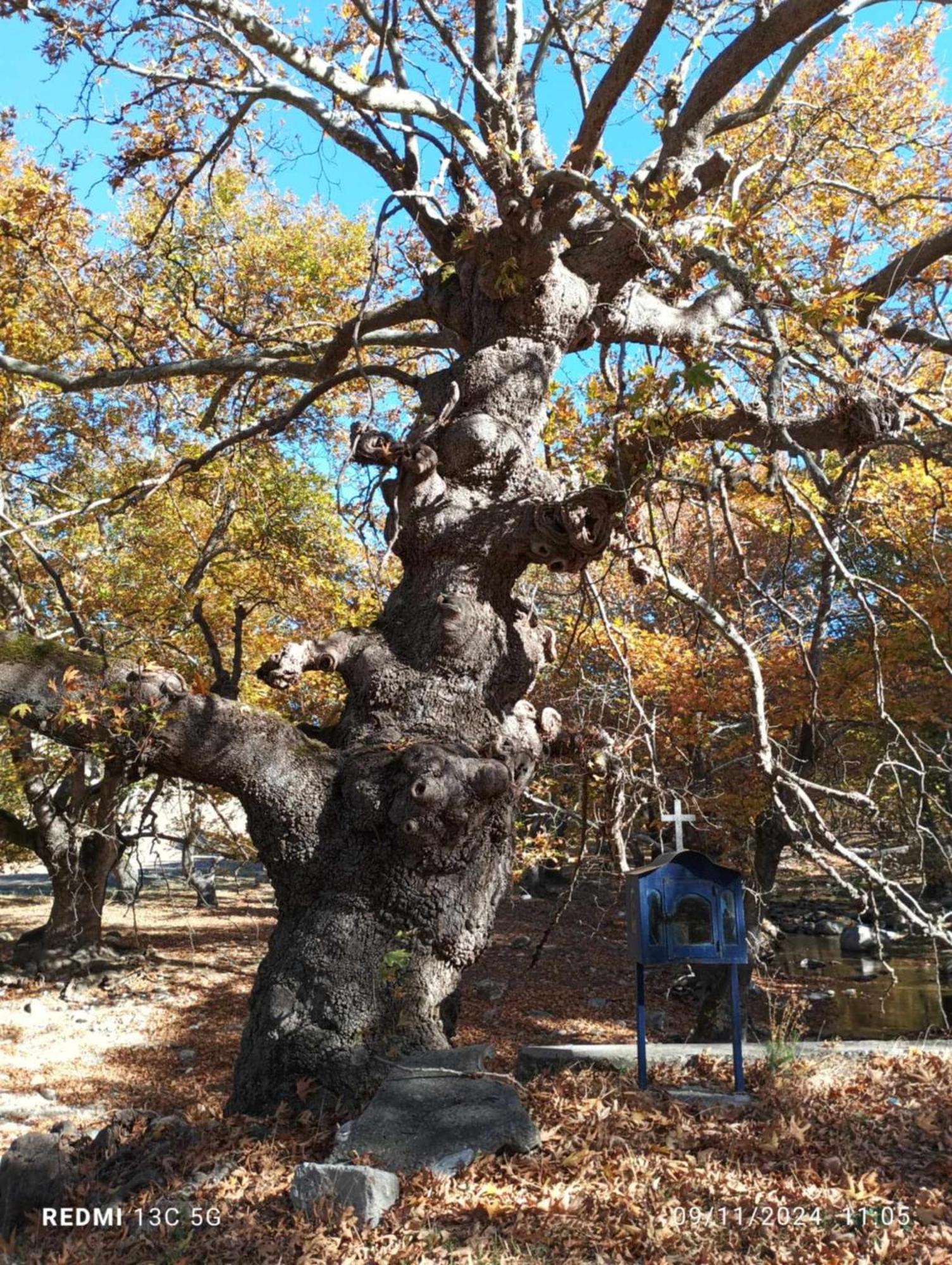 Sidirokastro  Agapi'S Houseヴィラ エクステリア 写真